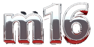 m16 logo